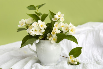 натюрморт с жасмином