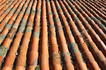 Roofs of old houses with plants