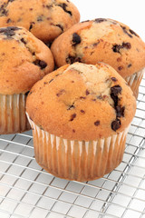 Chocolate Chip Muffins