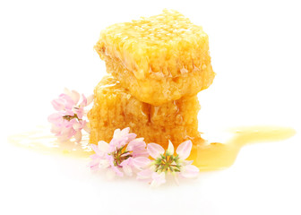 golden honeycombs with honey and wildflowers isolated on white.