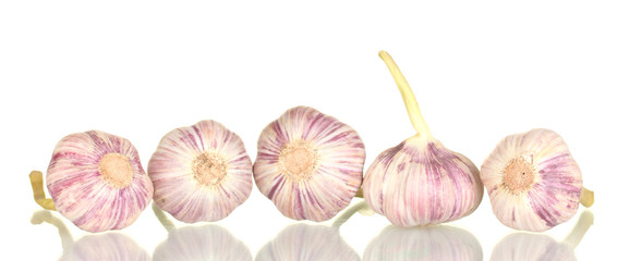 young garlic isolated on white background