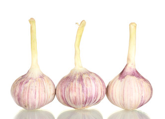 young garlic isolated on white background