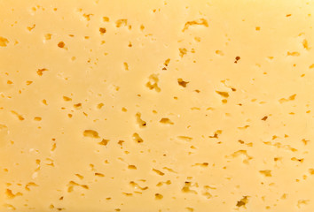 Texture of the cheese