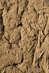 Background of the clay wall