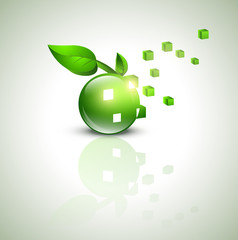 eco green design