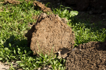 dung for heating furnace
