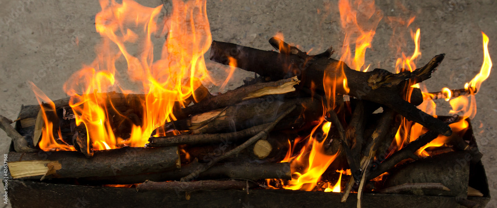 Wall mural fire, burning branches of a tree on a barbecue