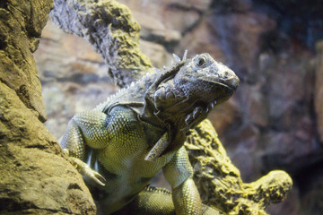 Are you talking to me?
