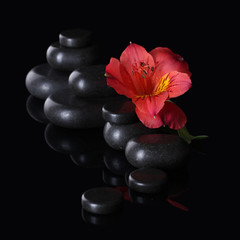 Obraz na płótnie Canvas Spa stones and red flower on black background