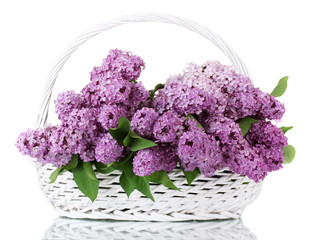 beautiful lilac flowers in basket isolated on white