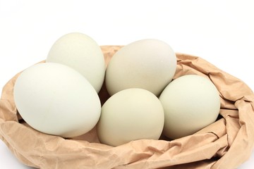 アローカナのタマゴ