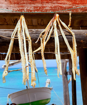 dried fish peix sec typical food in Mediterranean