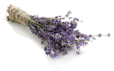 Lavender flowers isolated on white