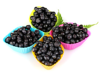 Fresh blueberries in colorful silicone mold isolated on white