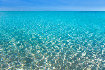 beach tropical with white sand and turquoise wate