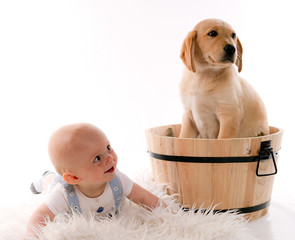 bébé de 7 mois et chiot labrador de deux mois