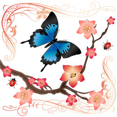 Fototapeta premium Summer card