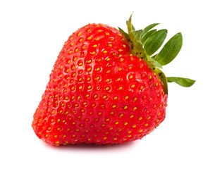 Fresh red strawberry