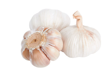 fresh garlic