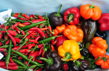 Lyttelton Farmers Market