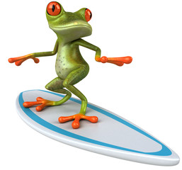 Fototapeta na wymiar Frog surfingu