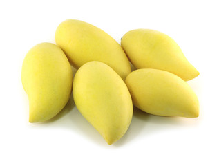 mangoes isolated on a white background