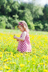 Naklejka na ściany i meble little girl walks in the field with dandelions