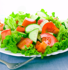 vegetable salad on plate