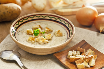Soup and ingredients on the table, studio shot