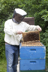 Imker mit Bienen