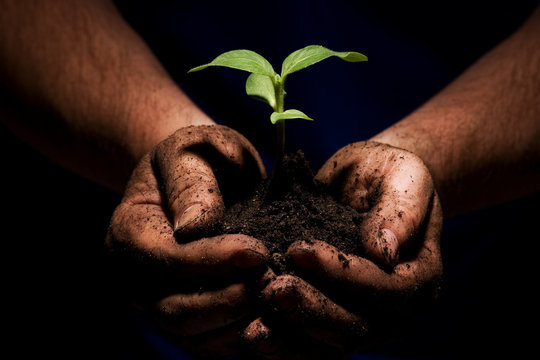 Farm Hands