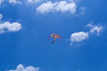 Fototapeta na wymiar Kite flying