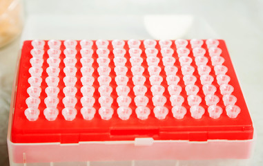 molecular biology