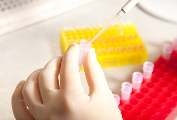 molecular biology
