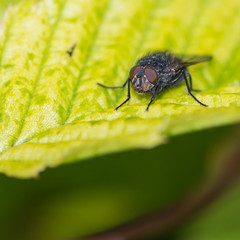 Looking At Me Looking At Him