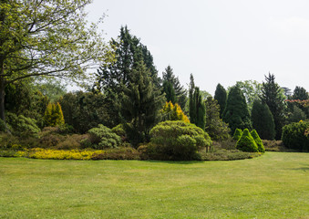Landscape Garden