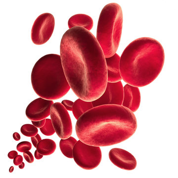 Rote Blutkörperchen vor Weiss