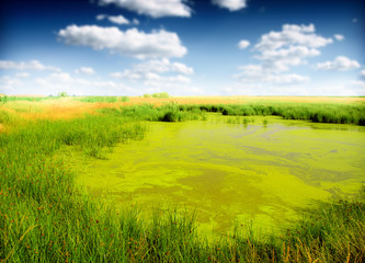 Landscape with small lake