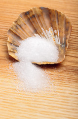 Fototapeta na wymiar Salt in shell