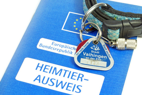 Halsband und Ausweis