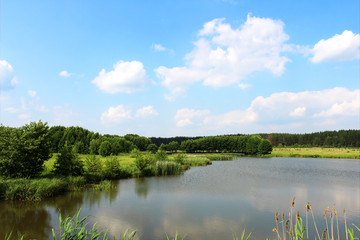 Obraz na płótnie Canvas Małe jezioro w pobliżu lasu.