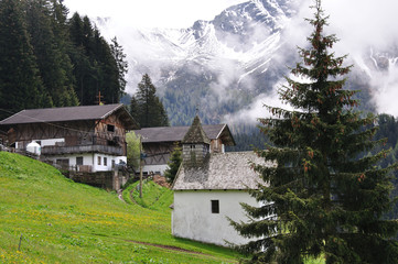 Fototapeta na wymiar Alm Videgg bei Meran, Południowy Tyrol