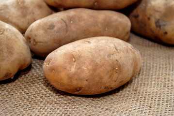 Fresh Harvested Potatoes on Burlap