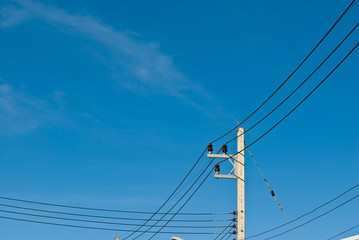 Fototapeta premium electricity post