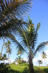 Guyane - Les Salines