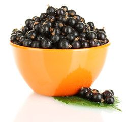 Fresh black currant in orange bowl isolated on white
