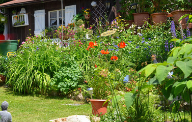 Garten Blumen Beet bunt