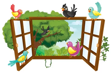 Küchenrückwand glas motiv verschiedene Vögel © GraphicsRF