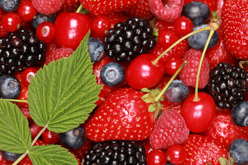 Beeren