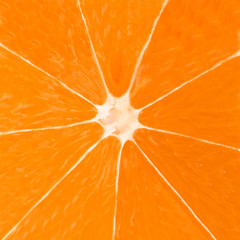 Macro photo of citrus slice